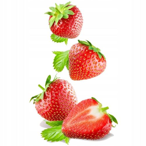 ŻWIREK SILIKONOWY DLA KOTA KOTÓW WYDAJNY ZWIERZOPASJA KOMPLET 5 x 3,8L na Arena.pl