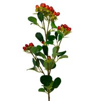 product-compare-61190651