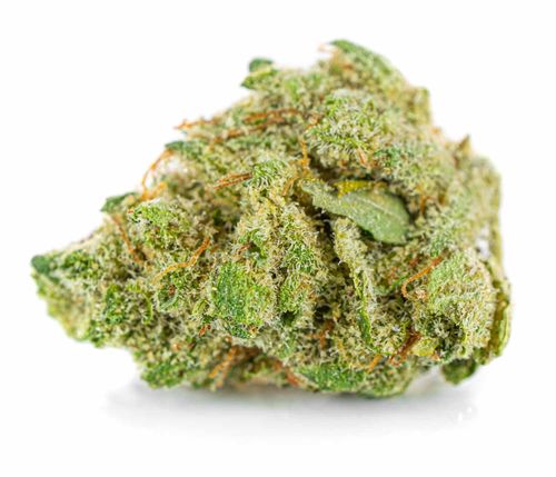 Susz konopny V1 CBD PREMIUM Exclusive Weed 50g na Arena.pl