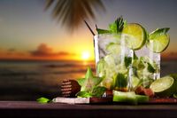 FOTOTAPETA kuchenna LIMONKI DRINK MOHITO PLAŻA