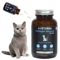 KOLAGEN dla KOTA TABLETKI SUPPLEMENT ZDROWE STAWY VETERAL Collagen Formula