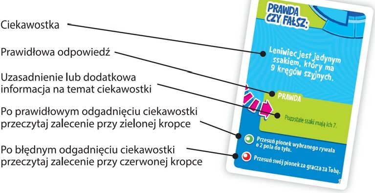 Madra glowa - gra rodzinna 01577 zdjęcie 3