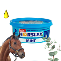 Horslyx Mint Masa Energetyczna Dla Koni W Formie Bloków 650g