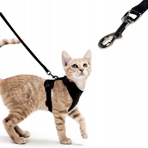 PROFESJONALNE SZELKI BEZUCISKOWE SPACEROWE REGULOWANE DLA KOTA + SMYCZ M na Arena.pl