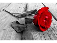 OBRAZ RED ROSE