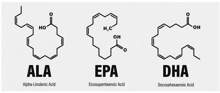 Aliness Vegan Omega 3 FORTE DHA 500mg SERCE 60kap zdjęcie 6