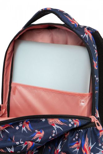 Plecak CoolPack BASIC PLUS w kolibry, COLIBRI (B03012) na Arena.pl