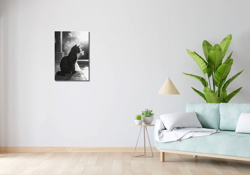 Obraz 40x60cm Kocia Przerwa zdjęcie 2