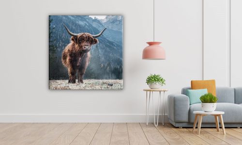 OBRAZ NA PŁÓTNIE 048 Krówka 40x40cm na Arena.pl