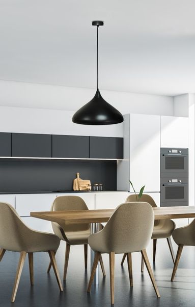 Viborg lampa wisząca 1x40W E27 czarny zdjęcie 2