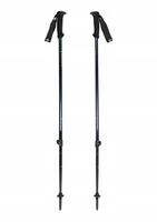 Kije trekkingowe Black Diamond Explorer 2 Trekking Poles - ink blue