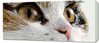 Obraz 90x40cm Nitkowany Kot