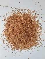 PetRa Proso ŻÓŁTE karma pokarm dla ptaków papug falistych średnich 25 kg