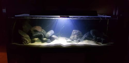 FOLIA CZARNA samoprzylepna TŁO do AKWARIUM 112 litrów 80x40 NA WYMIAR na Arena.pl