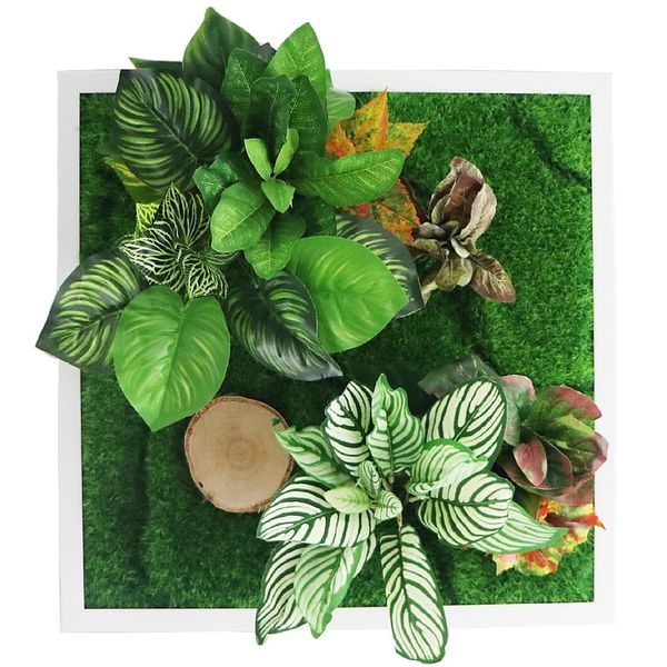 Garden Point - Bello Horizonte 50x50 - ogród ścienny 3D zdjęcie 1