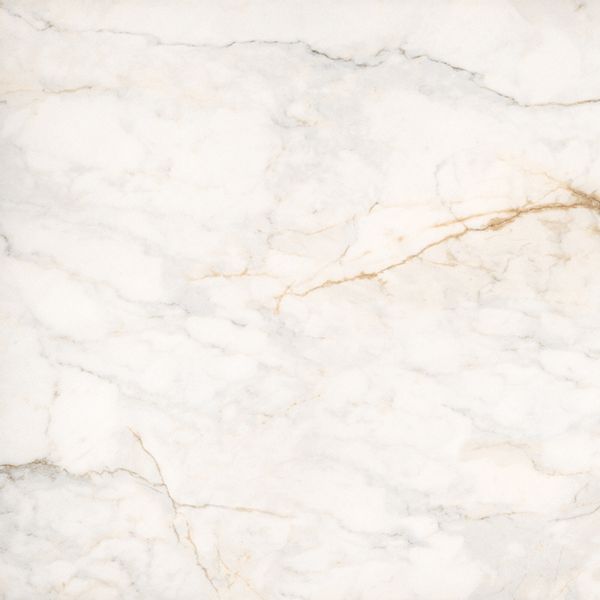 Egen Płytka ścienno-podłogowa Eagle 60x60cm Połysk (0,36) zdjęcie 1