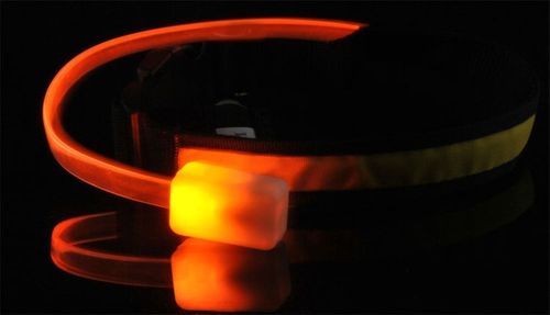 Obroża LED żółta - M na Arena.pl