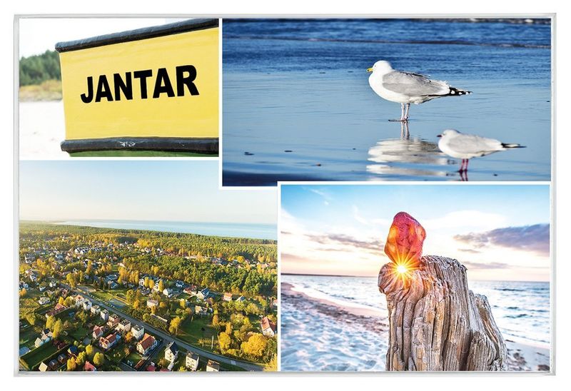 Jantar mewy - magnes szklany zdjęcie 1