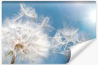 Fototapeta Ścienna Nasiona DMUCHAWCA Roślina Natura Efekt 3D 90cm x 60cm