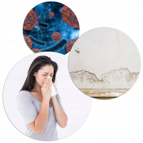 OSUSZACZ POWIETRZA DOMOWY POCHŁANIACZ WILGOCI 800ML 23W DO DOMU BIURA na Arena.pl