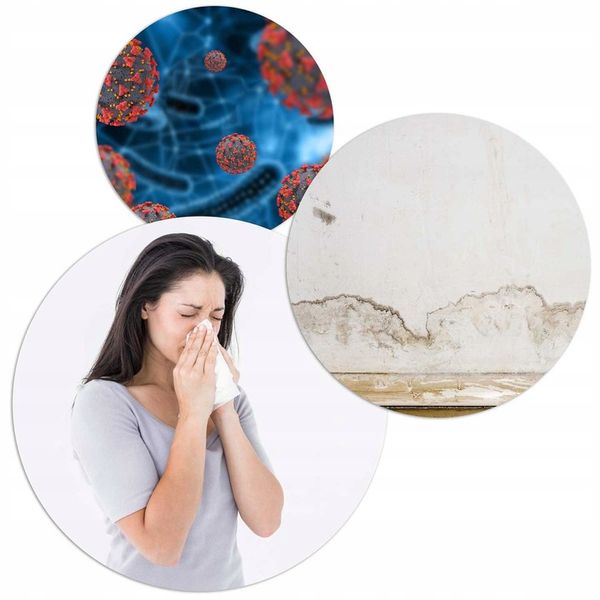 OSUSZACZ POWIETRZA DOMOWY POCHŁANIACZ WILGOCI 800ML 23W DO DOMU BIURA zdjęcie 4