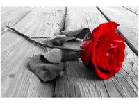 OBRAZ RED ROSE