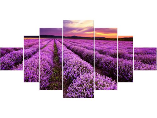 Obraz drukowany płótno 7 elementów 200x100 GRATIS na Arena.pl