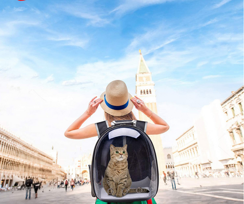 Plecak transporter dla kota i psa na Arena.pl