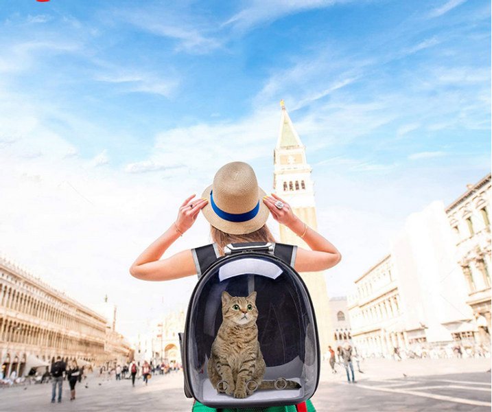 Plecak transporter dla kota i psa zdjęcie 5