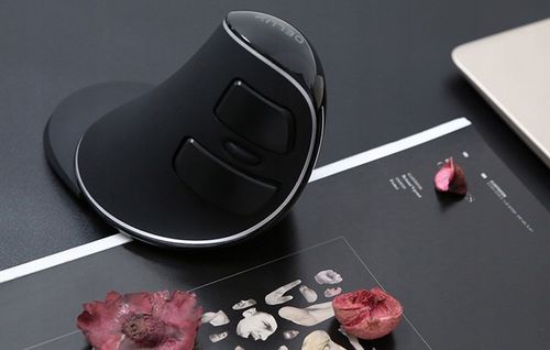 Bezprzewodowa Mysz Pionowa Delux M618pd Ergonomiczna Myszka Bluetooth 2.4g na Arena.pl