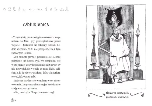 Ra Wszechmocny. Kot detektyw na Arena.pl