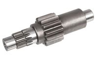 Wałek zębaty CEDRUS przekładni transporter TR300 131000