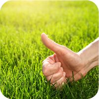 product-compare-58604241