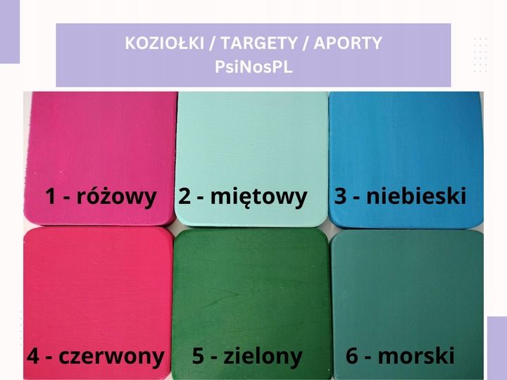 Koziołek APORT obedience psa treningów KOLOR M zdjęcie 11