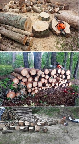 PIŁA SPALINOWA PILARKA ŁAŃCUCHOWA 5,7km 58cm3 2x łańc/prowad/olej+2x na Arena.pl