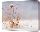 Obraz 60x50cm Zima w Detalach