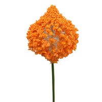 Kuflik pojedynczy pomarańczowy