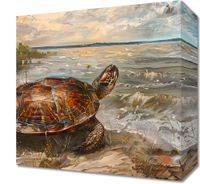 product-compare-59510344