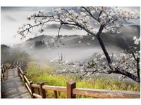 product-compare-58649007