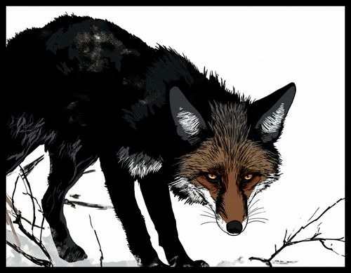 Plakat 65x50cm Nieufny Lis na Arena.pl