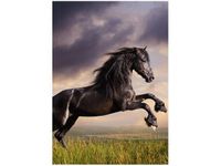 70X50CM OBRAZ KOŃSKI BUNT ŚCIAN