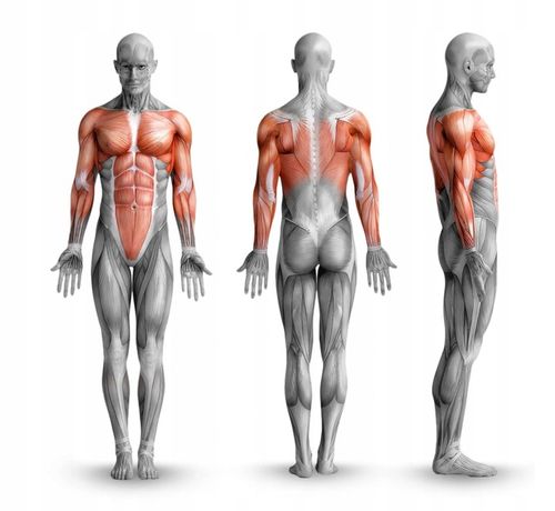 DRĄŻEK DO ĆWICZEŃ PODCIĄGANIA SUFITOWY K-SPORT na Arena.pl