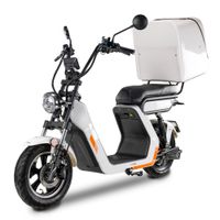 Skuter elektryczny BILI BIKE E-BALDUR DELIVERY 2.0 biały
