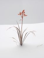 product-compare-59356758