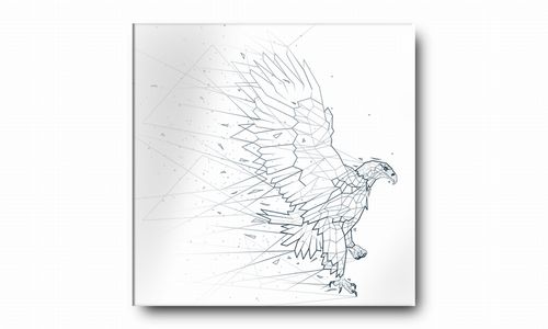 OBRAZ NA PŁÓTNIE 074 Orzeł 70x70cm na Arena.pl