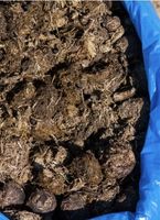 Obornik koński 20 kg ekologiczny świeży obornik do sadu ogrodu warzyw