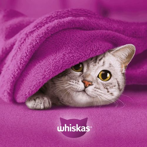 WHISKAS mokra karma dla kota rybne smaki w galaretce saszetki 40x85 g na Arena.pl
