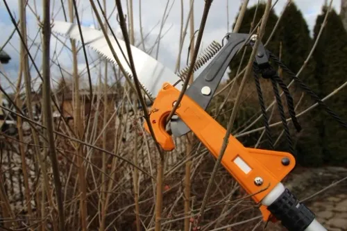 Piła z Sekatorem na Teleskopowym Trzonku 3,75m na Arena.pl