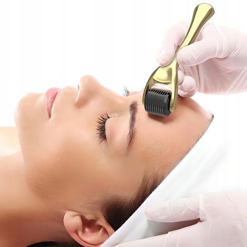 DERMA ROLLER 0.5/1/1.5mm 3W1 DERMAROLLER TYTAN MEZOTERAPIA IGŁOWA DO TWARZY na Arena.pl
