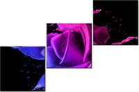 60 90CM OBRAZ 3 ELEM RÓŻA FARB JAKUB BANAŚ ŚCIENNY DRUK PŁÓTNO